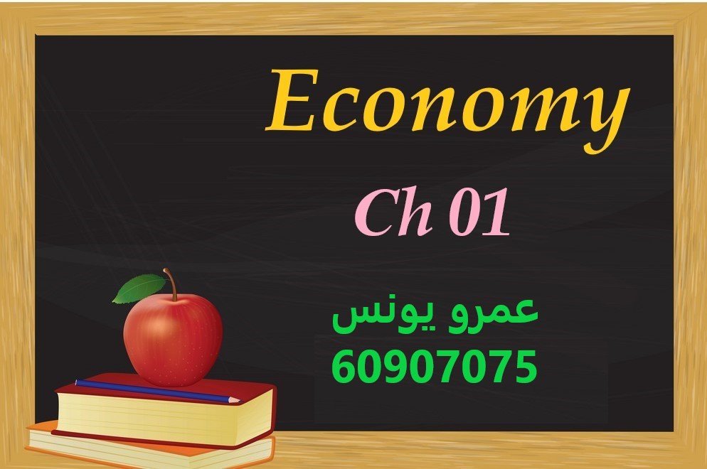 Economy - Chapter 1