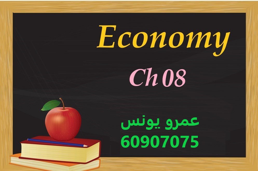 Economy - Chapter 8