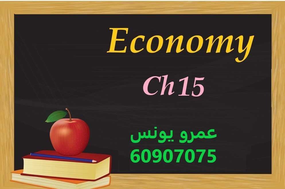 Economy - Chapter 15